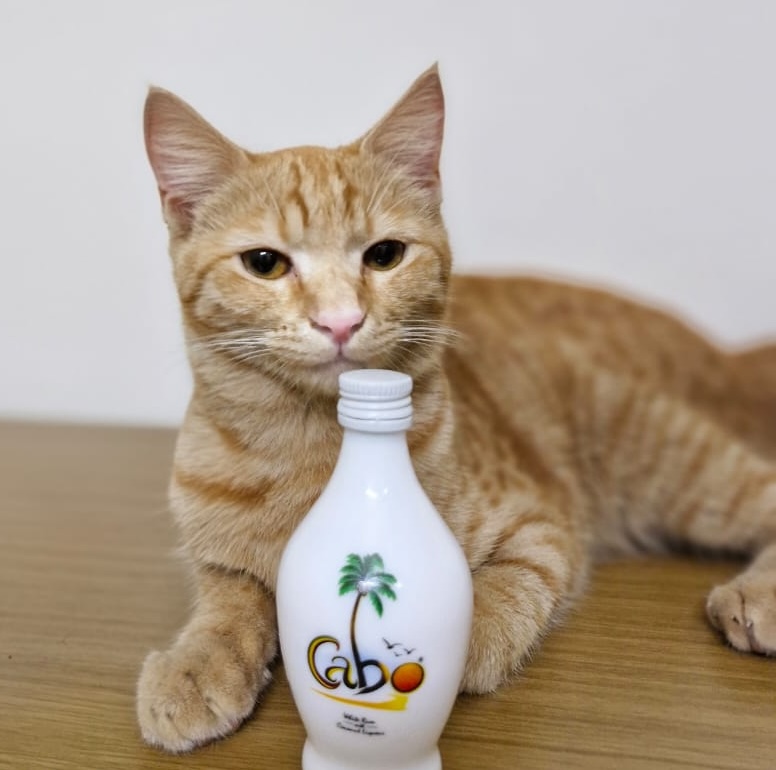 Cabo